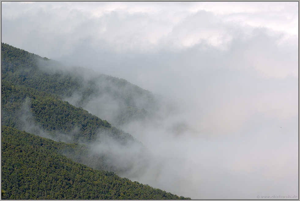 wolkenverhangen... Cumbre Nueva *La Palma*