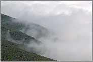 wolkenverhangen... Cumbre Nueva *La Palma*