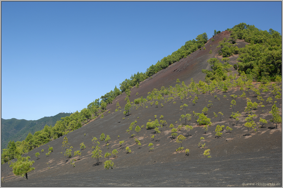 vom Refugio El Pilar zur Punta de los Roques... Cumbre Nueva *La Palma*