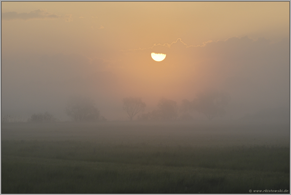 Zauberland (6/13)... Sonnenaufgang *im Nebel*