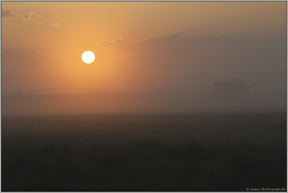 Zauberland (4/13)... Sonnenaufgang *im Nebel*