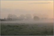 Zauberland (5/13)... Sonnenaufgang *im Nebel*