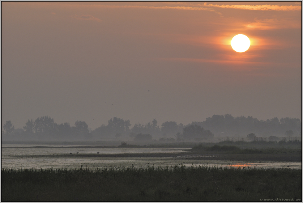 über den Laken... Sonnenaufgang *Burgenland*