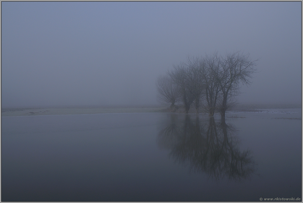 Nebelstimmung... Bislicher Insel *Niederrhein*