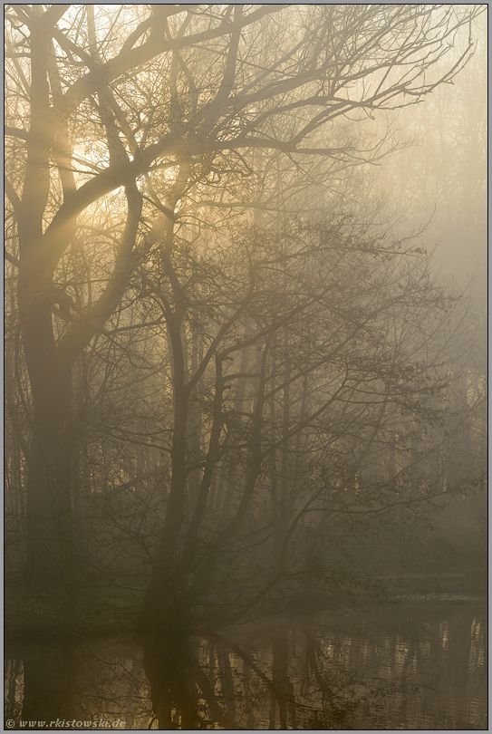 lichtdurchflutet... Frühnebel *Niederrhein*