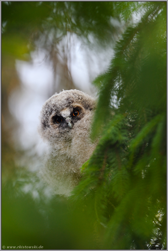 Blick durch