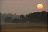 bei Tagesanbruch... Heidelandschaft *Sonnenaufgang*