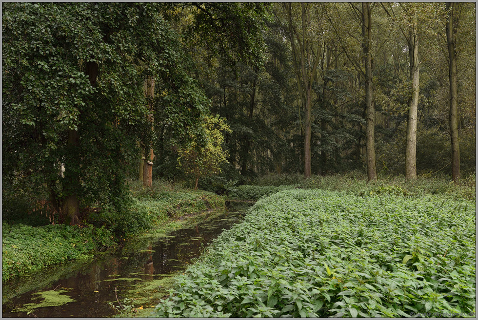 Mühlenbach, Kringsgraben und Strempe... Ilvericher Altrheinschlinge *Meerbusch*