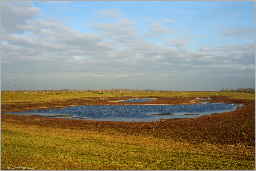 die Flutmulde... Bislicher Insel *Nordrhein-Westfalen*