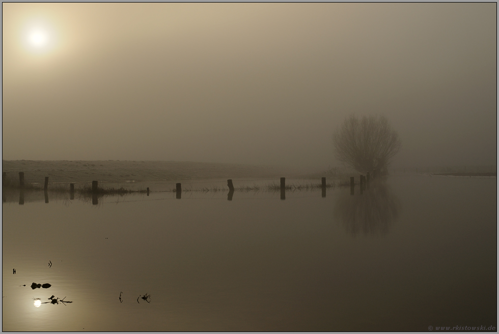 Flutwasser... Bislicher Insel *Niederrhein*