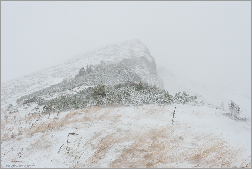 im Schneesturm... Fellhorn *Allgäu*