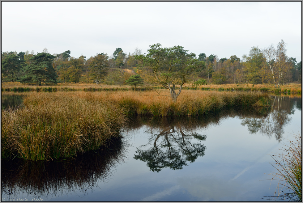 ein Tag im Moor... Teufelskuhle *Maasduinen*