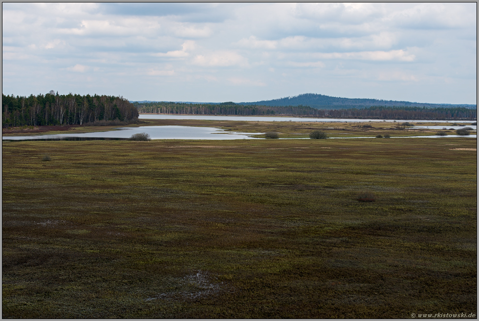 Blick über Schwingrasenflächen des Stora Gungflyet... Store Mosse *Schweden*