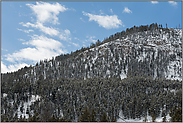 Bergwald... Yellowstone National Park *USA*