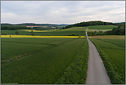 den Weg hinab... Blick über Wiesen und Felder *Sauerland*