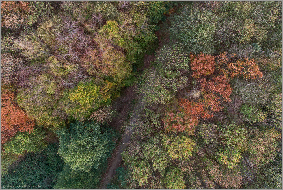 Laubverfärbung... Herbstfarben *Oktober* im Spätsommer