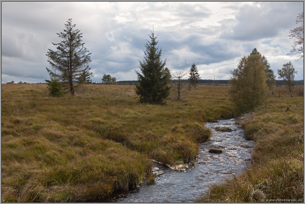 Moorgewässer... Hohes Venn *Eifel*, Hill im Fagne des Deux Séries