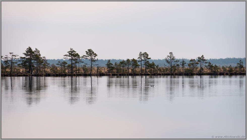 Blick über den Svartgölen... Store Mosse *Schweden*, größtes Hochmoor, Nationalpark