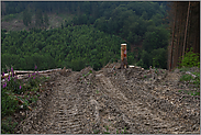 mit schwerem Gerät... Waldsterben *Spuren vom Harvester*, Aufräumarbeiten im Wald