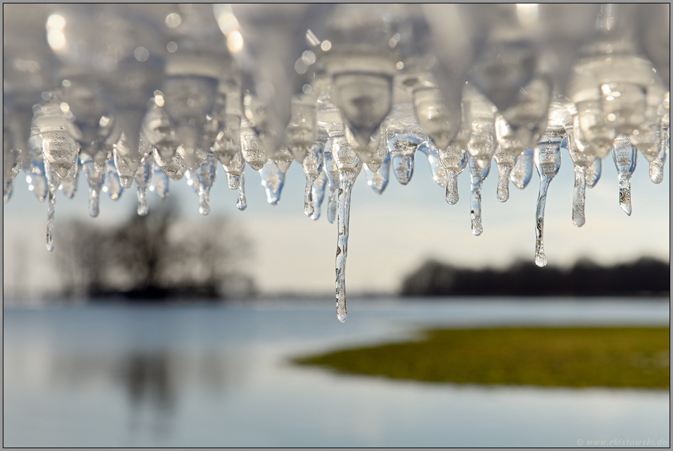 Eiszeit... Eiszapfen *Winterhochwasser 2020/2021* auf der Bislicher Insel