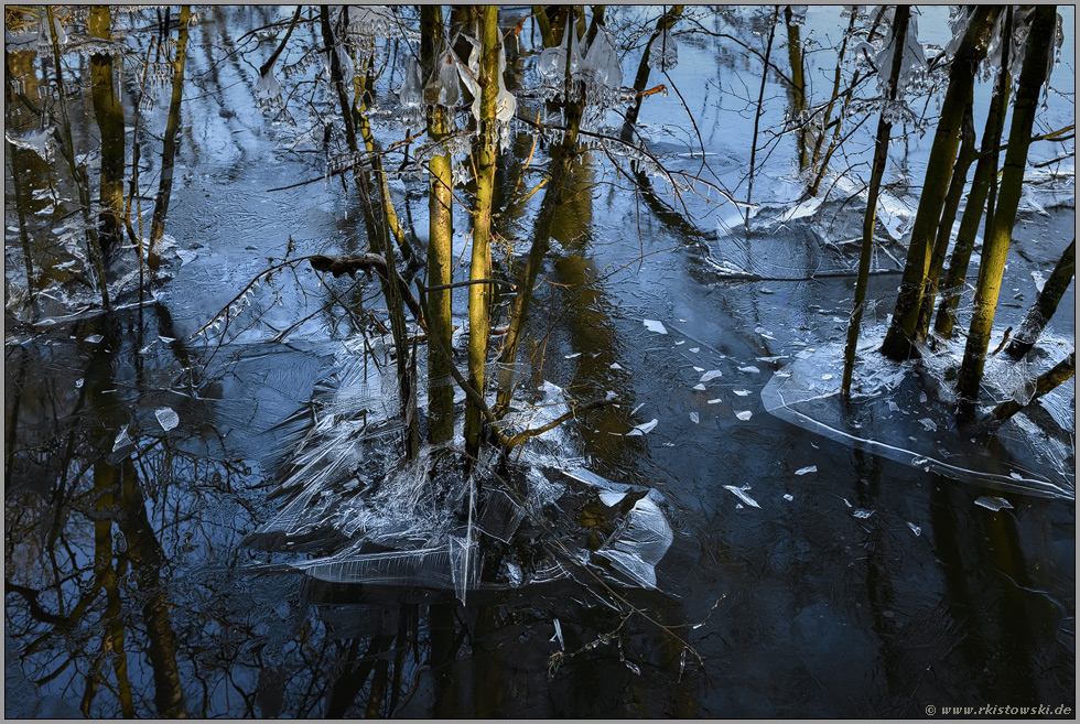 Durchbruch... Bruchwald *Winterhochwasser 2020/2021*, Eiszeit am Niederrhein