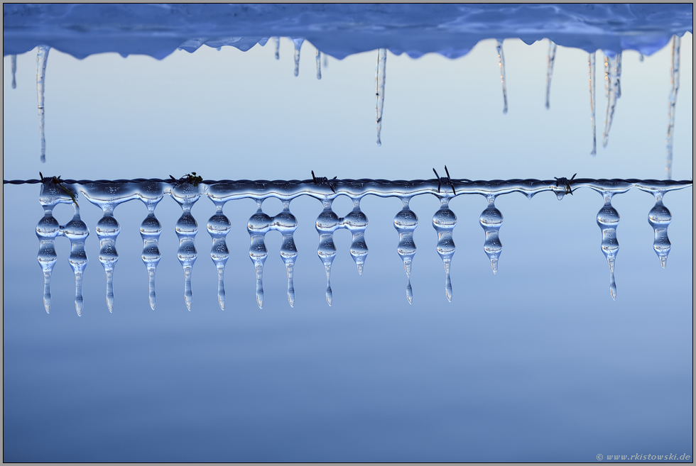 eisige Kälte... Eiszapfen *Winterhochwasser 2020/2021*, Eisschmuck - eine Laune der Natur