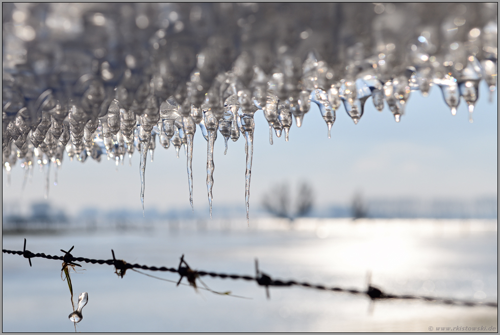 Eiszeit... Eiszapfen *Winterhochwasser 2020/2021*, Eisplatte an einem Stacheldrahtzaun auf der Bislicher Insel