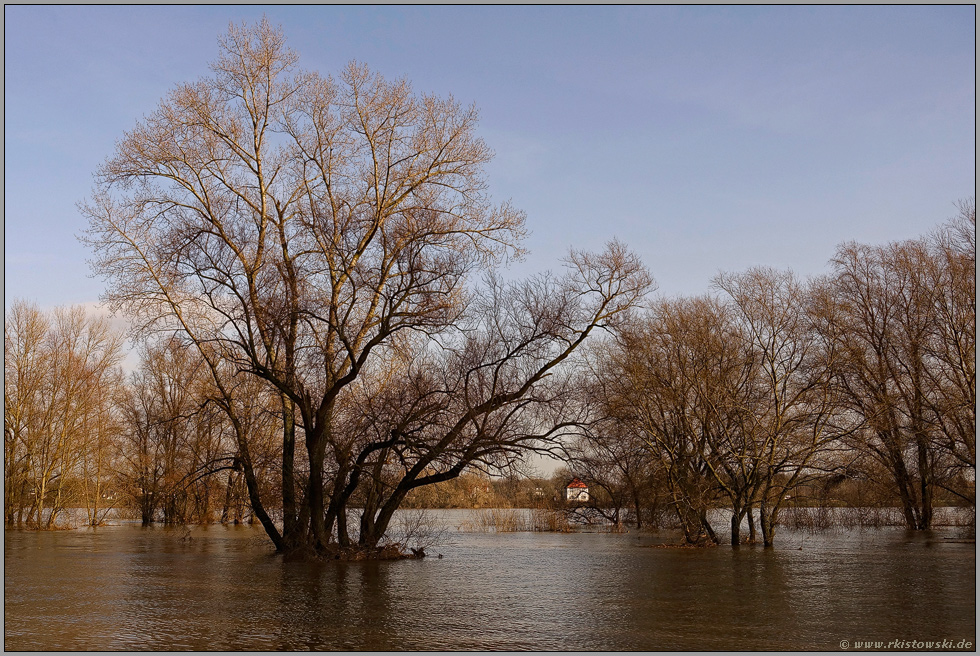 mittleres Hochwasser... Rhein *Nordrhein-Westfalen* auf der Höhe von Düsseldorf