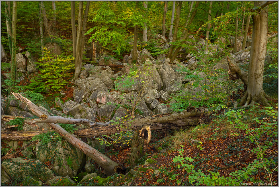 im Reich des Zwergenkönigs Alberich... Felsenmeer *Sauerland*