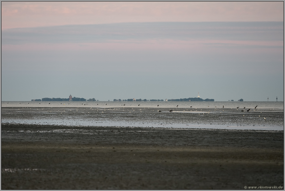 Neuwerk in der Morgendämmerung... Cuxhaven *Nordssee*