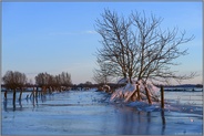 Eiszeit... Bislicher Insel *Niederrhein*, Winterstimmung