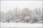 verschneiter Bruchwald... Lanker Bruch *Meerbusch* bei heftigem Schneefall, 08. März 2023