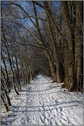 Schneespaziergang am Niederrhein... Ilvericher Altrheinschlinge *Meerbusch* an einem strahlend schönen Wintertag