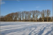 Schwarz-Erlen entlang des Mühlenbaches... Ilvericher Altrheinschlinge *Meerbusch*, Schnee am Niederrhein