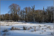 im Winter... Ilvericher Altrheinschlinge *Meerbusch*, Niederrhein bei Schnee, Eis und strahlendem Sonnenschein