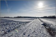 gleißendes Licht... Meerbusch *Isselfeld*, bäuerliche Kulturlandschaft am Niederrhein